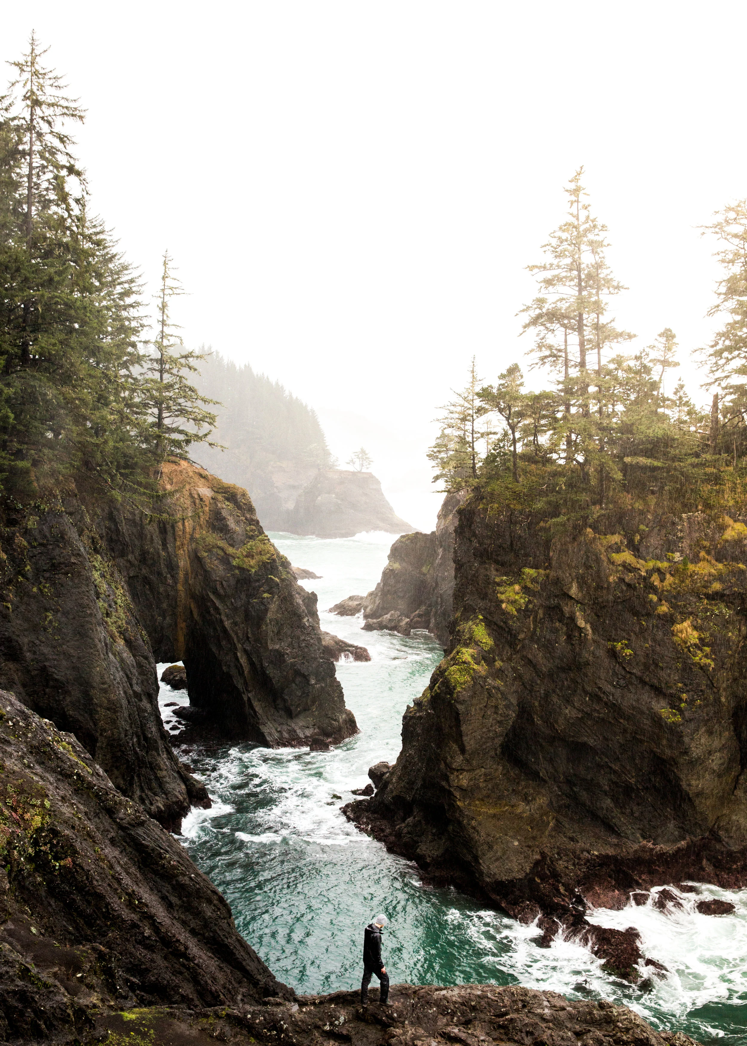 20170308_BudgetOregon_018.jpg