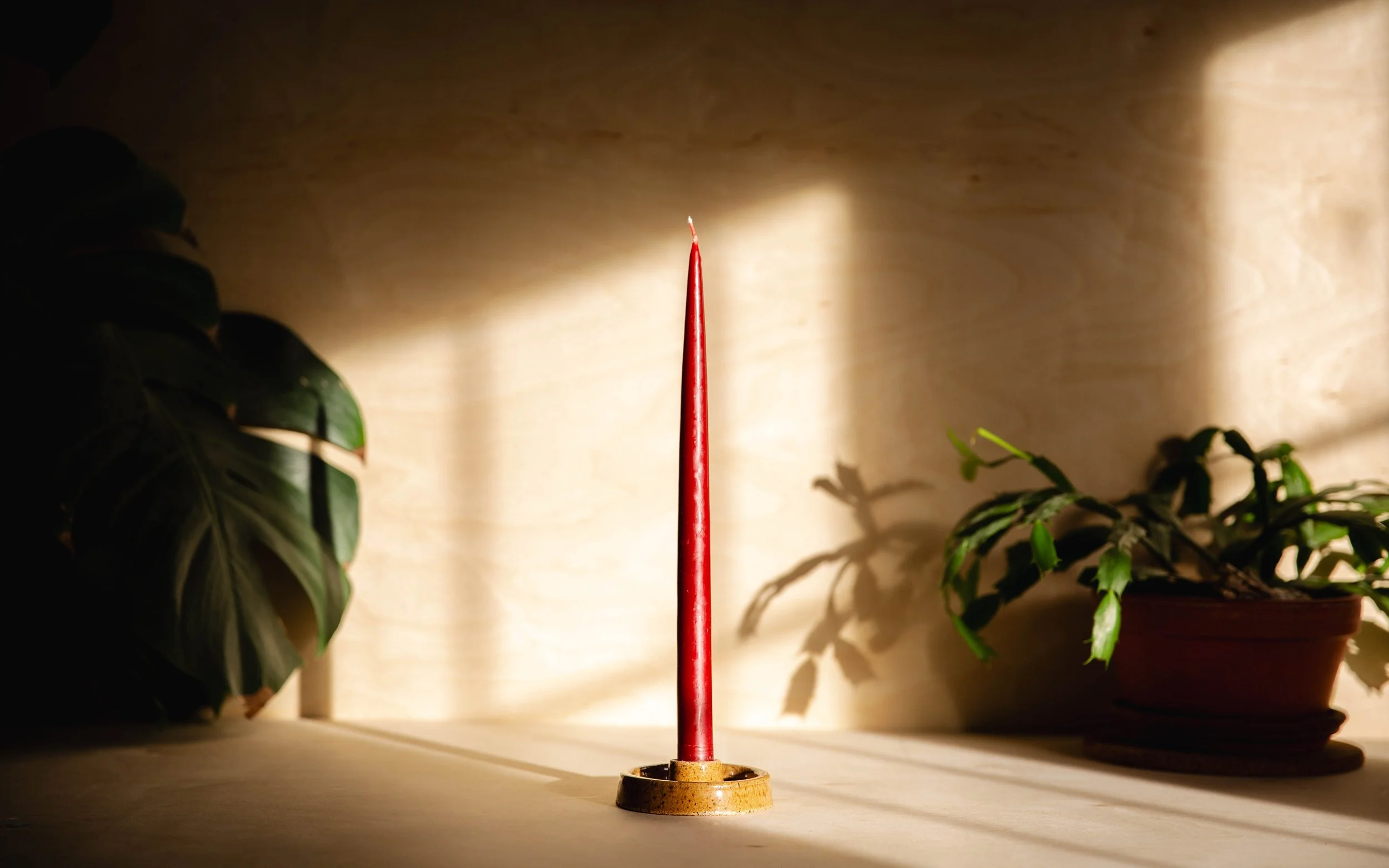 Pottery_20260110_003 (1).jpg