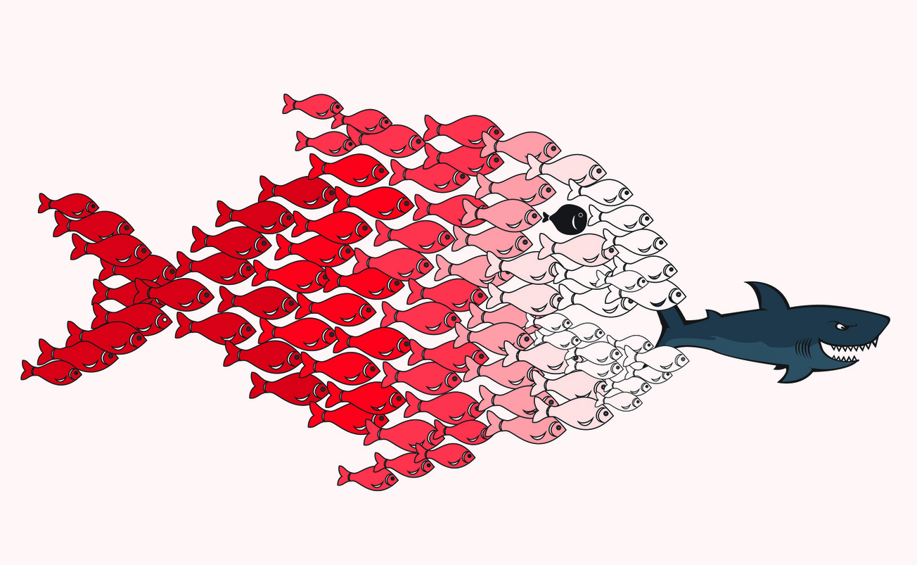 Together, we can fight the sharks