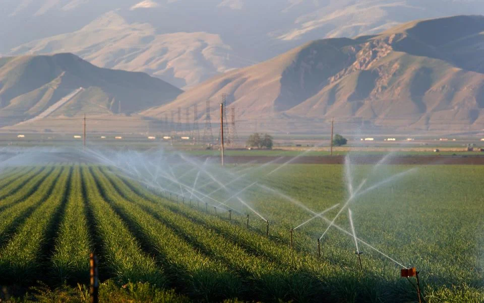 Discharges from irrigated agriculture are the largest source of pollution in California’s Central Valley.