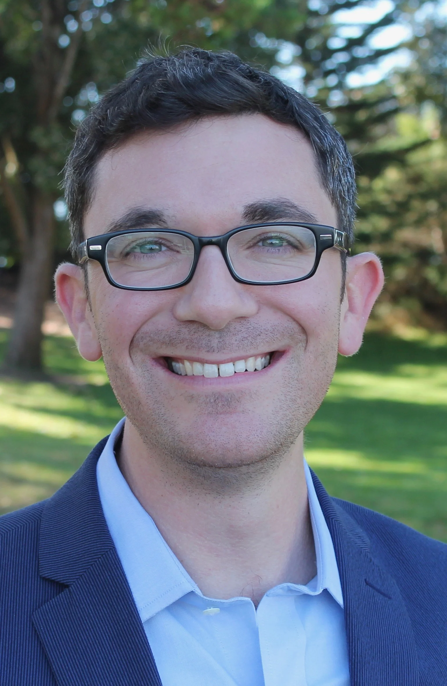 David Nahmias, Law Fellow