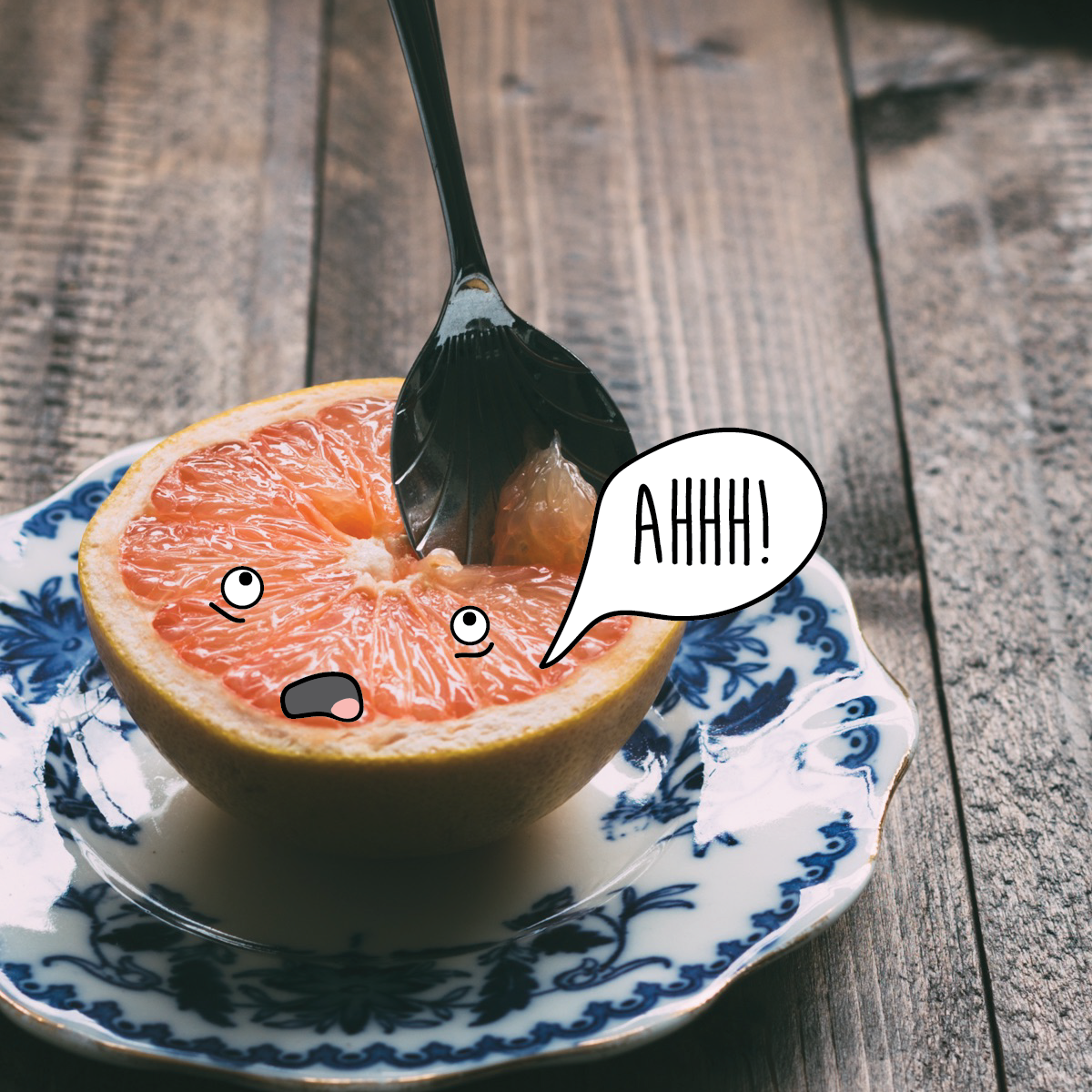 Grapefruit Brains-01.png