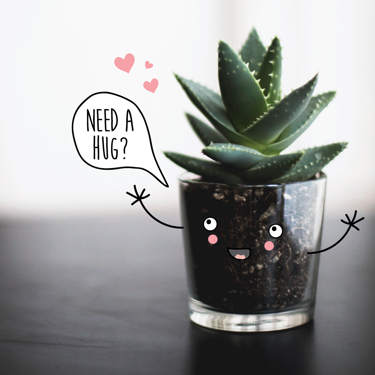 Succulent Hug-01.png