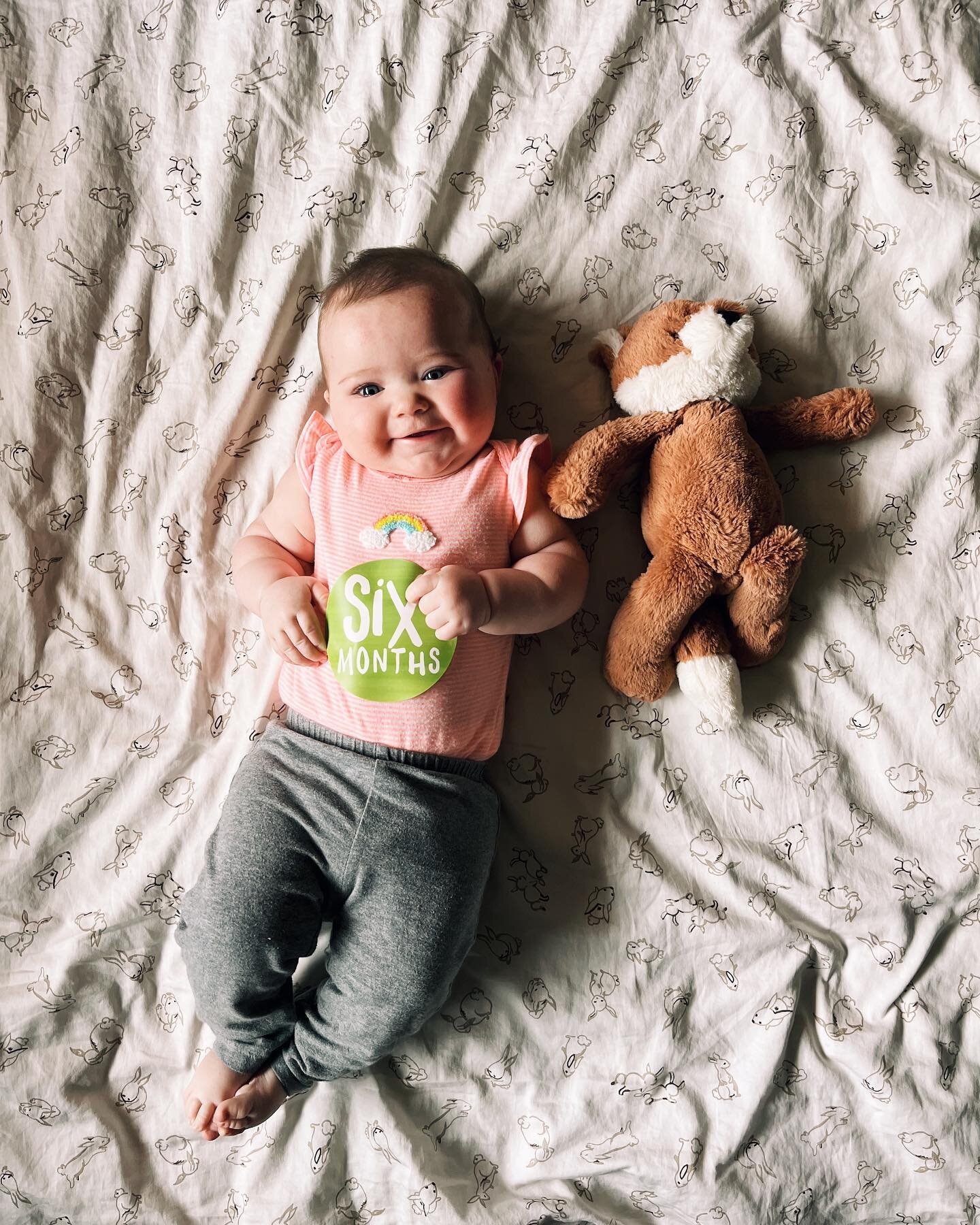 hi i&rsquo;m the second child, mom forgot my 5 month pic, so here&rsquo;s me at 6 months 💕✨