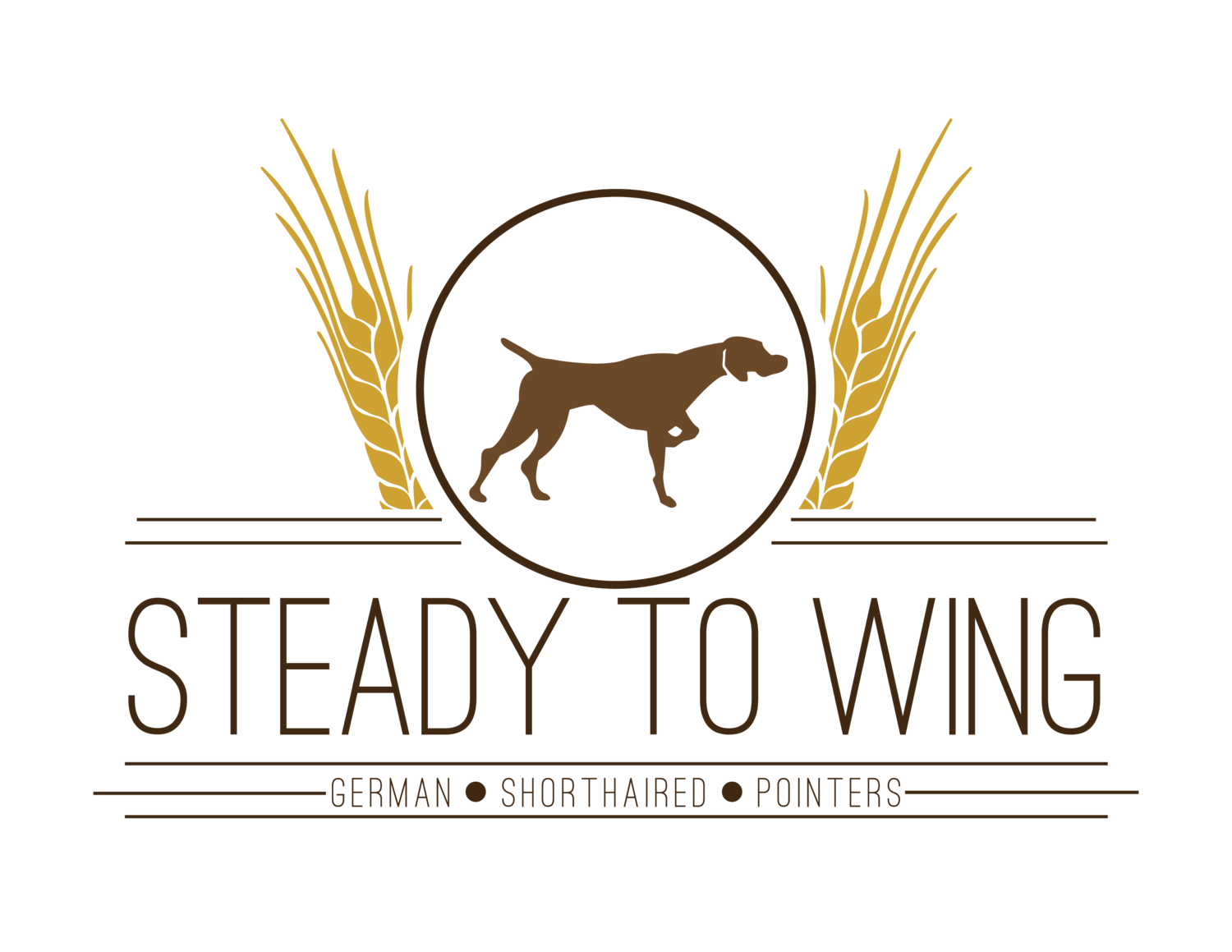German Shorthaired Pointers | Steady to Wing Shorthairs