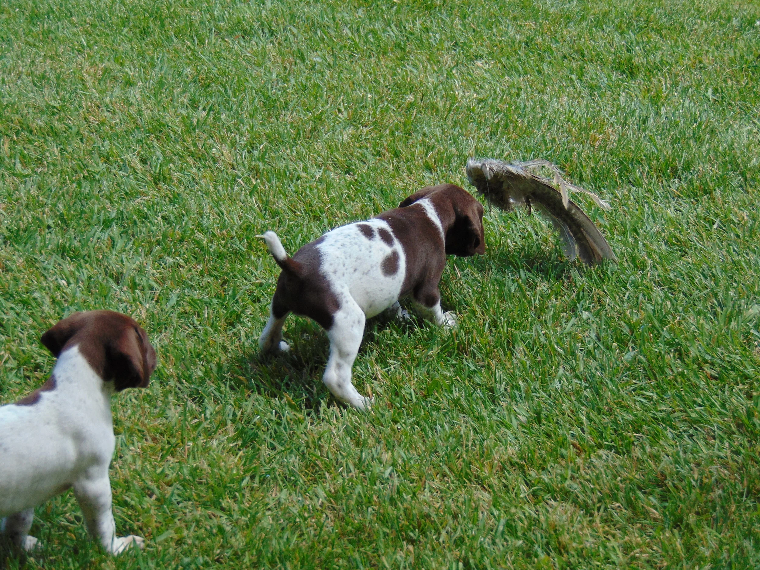 DSC00365.JPG