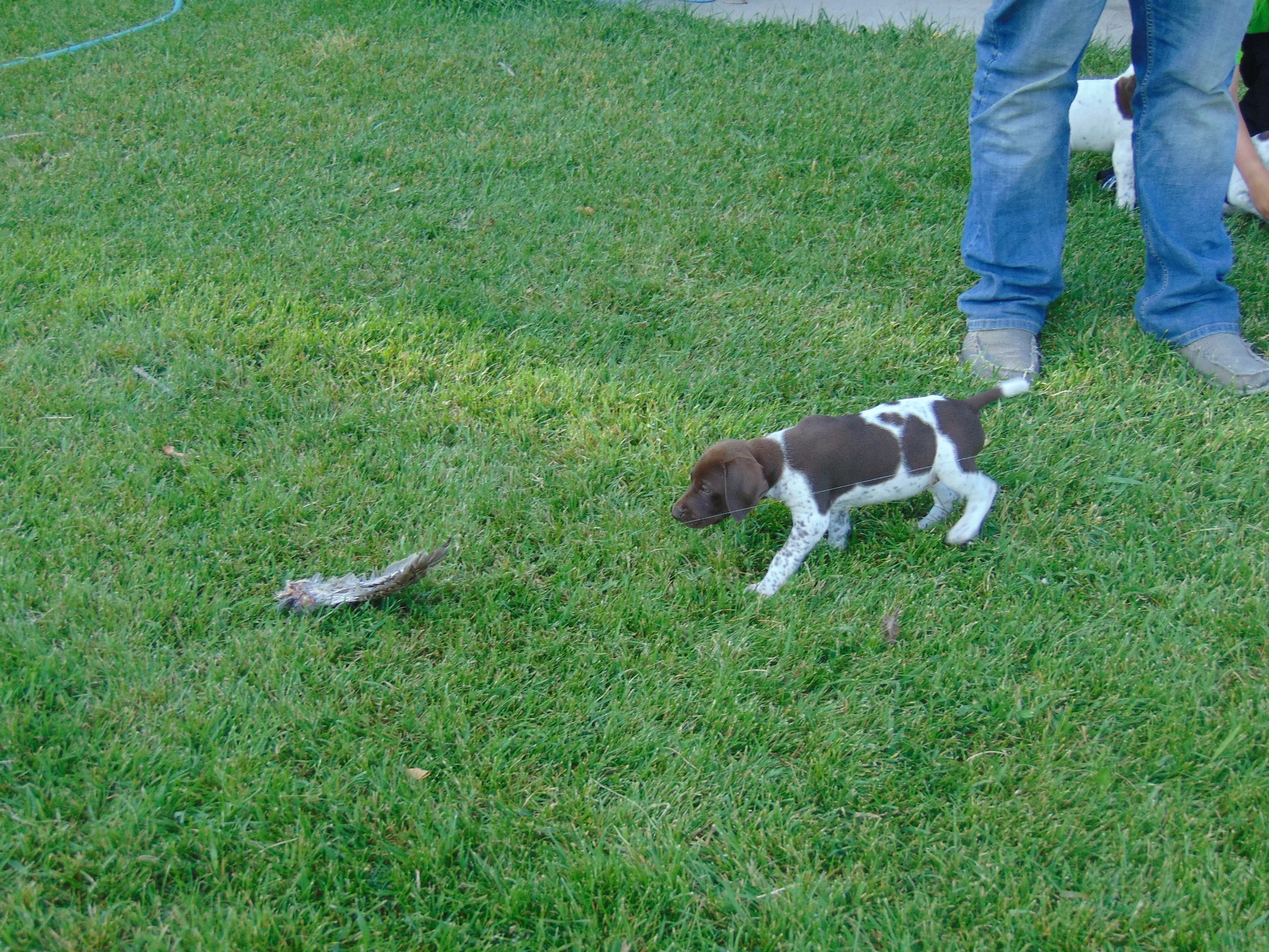 DSC00389.JPG