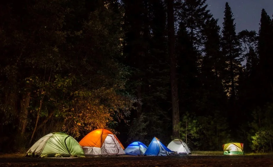 Photo courtesy of Pexels under Creative Commons 0
