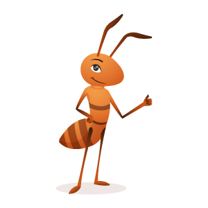 Ant definition and meaning | Collins English Dictionary