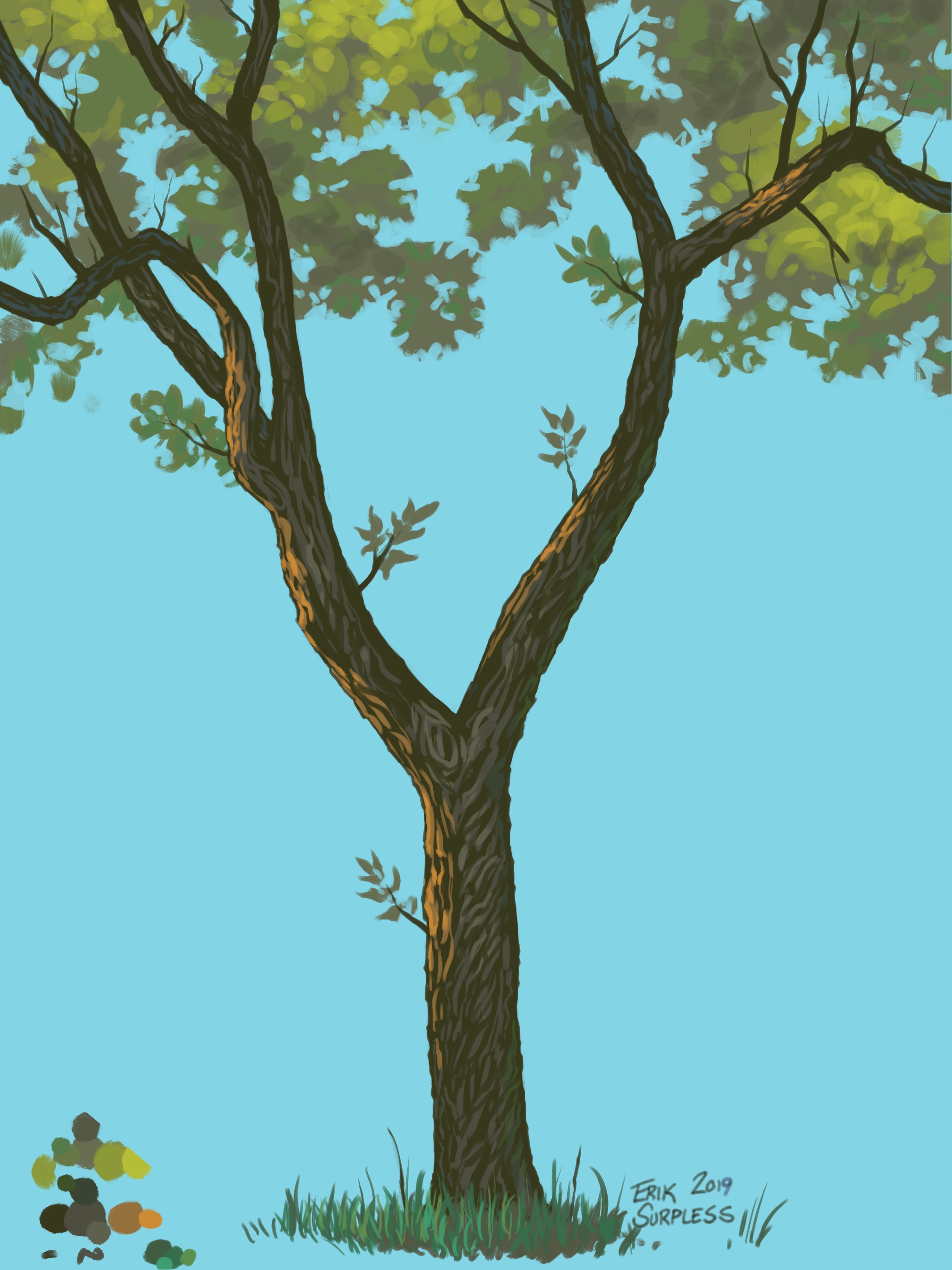 Plein Air Study of Live Oak