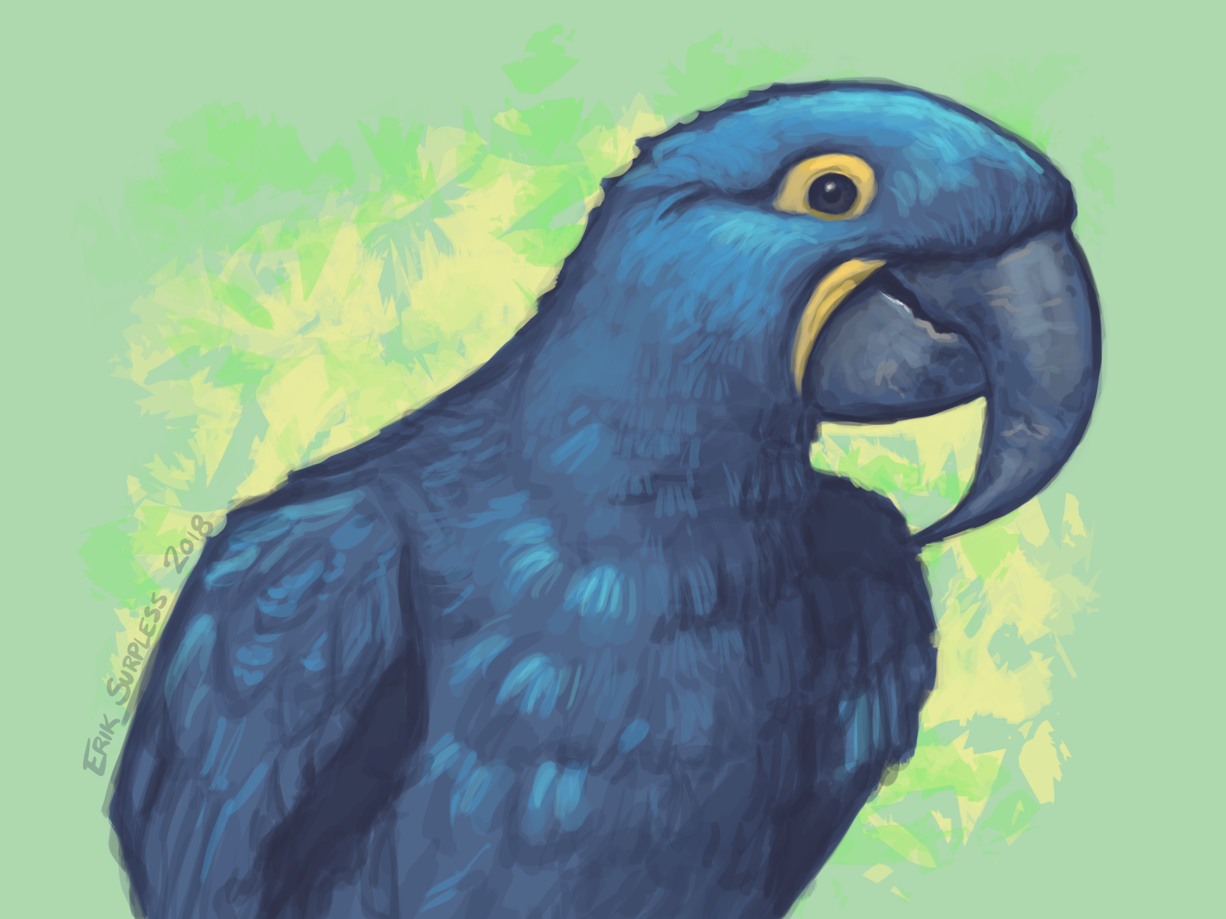 Blue_Parrot.png