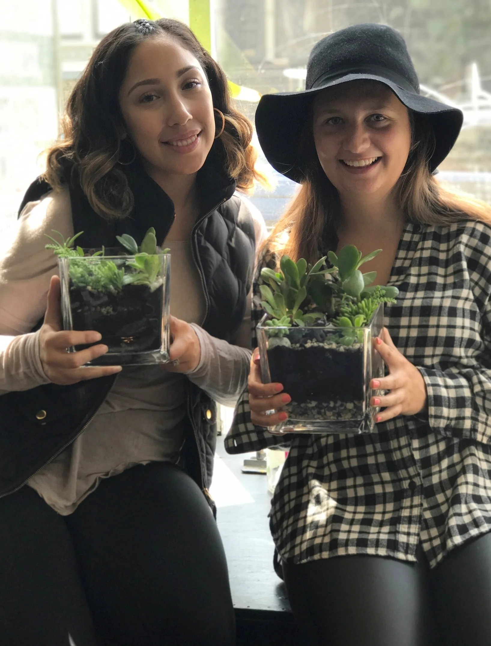 Hayley Vanessa succulents.jpg