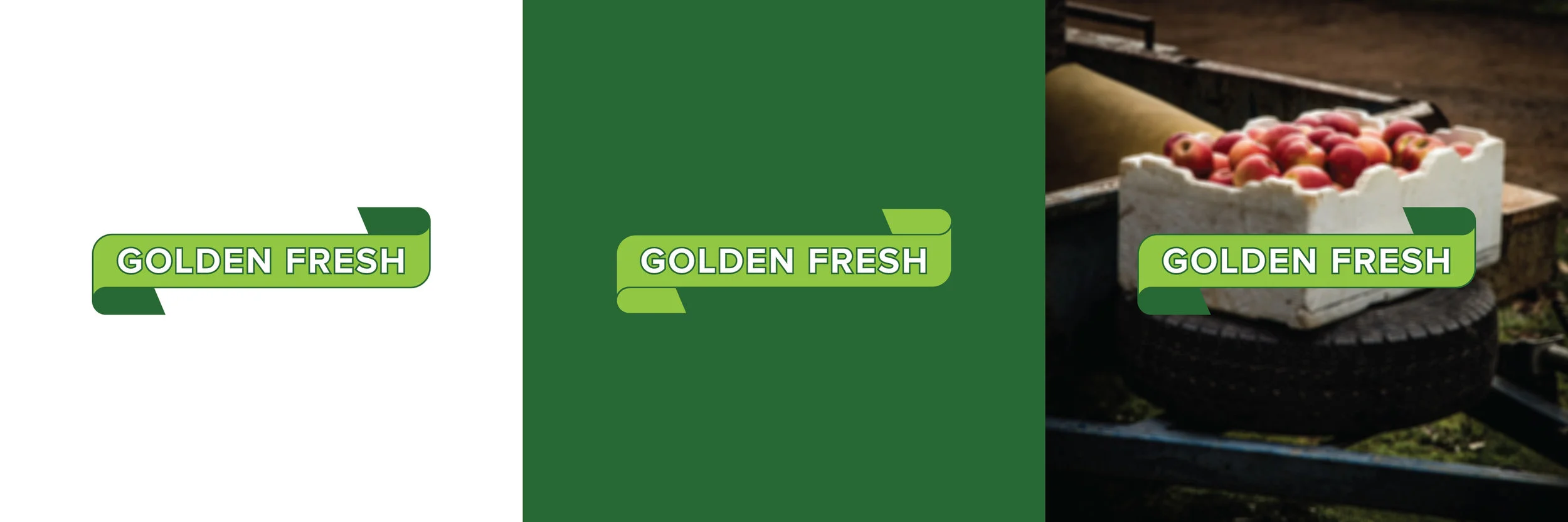 Logos-01.jpg