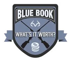Bluebook3.jpeg