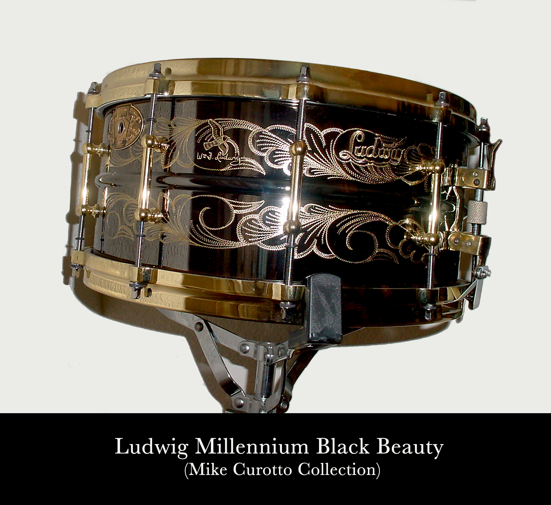 Ludwig_Millennium_Ann_1.jpg