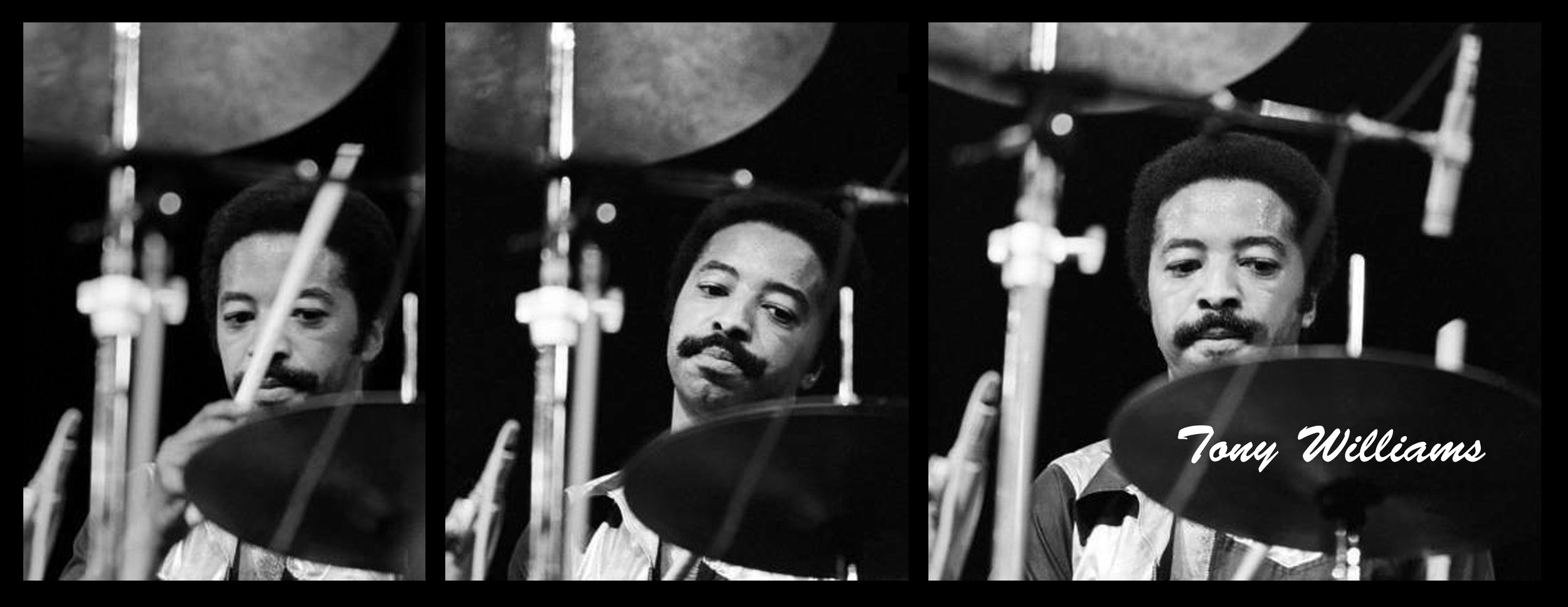 Tony-Williams.jpg