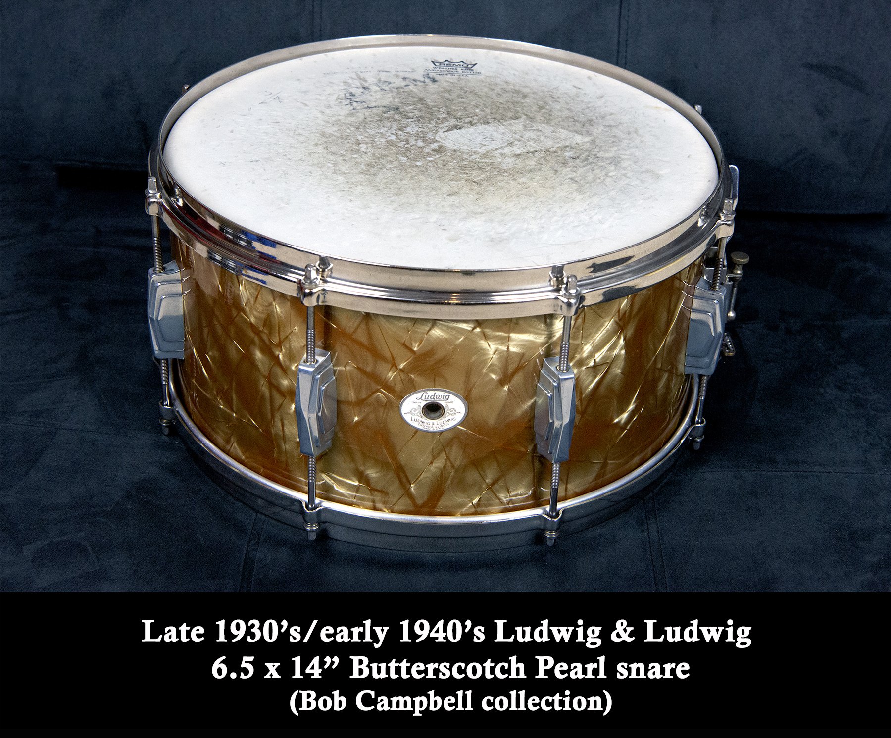 1. Ludwig_Butterscotch_front copy.jpg