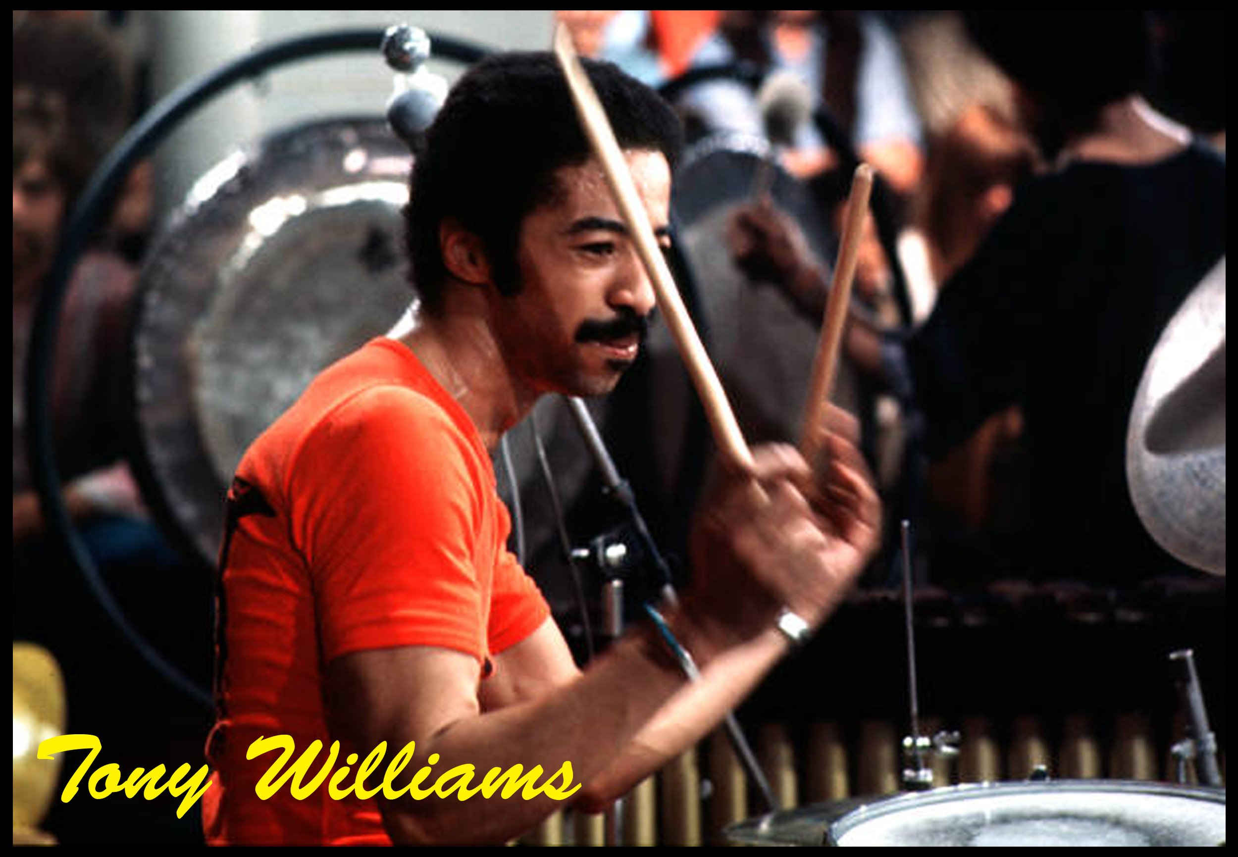 Tony-Williams.jpg