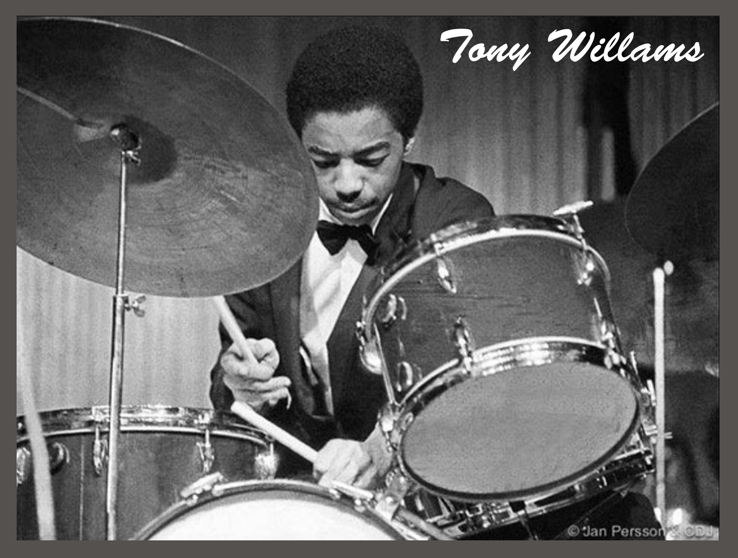 Tony-Williams-22.jpg