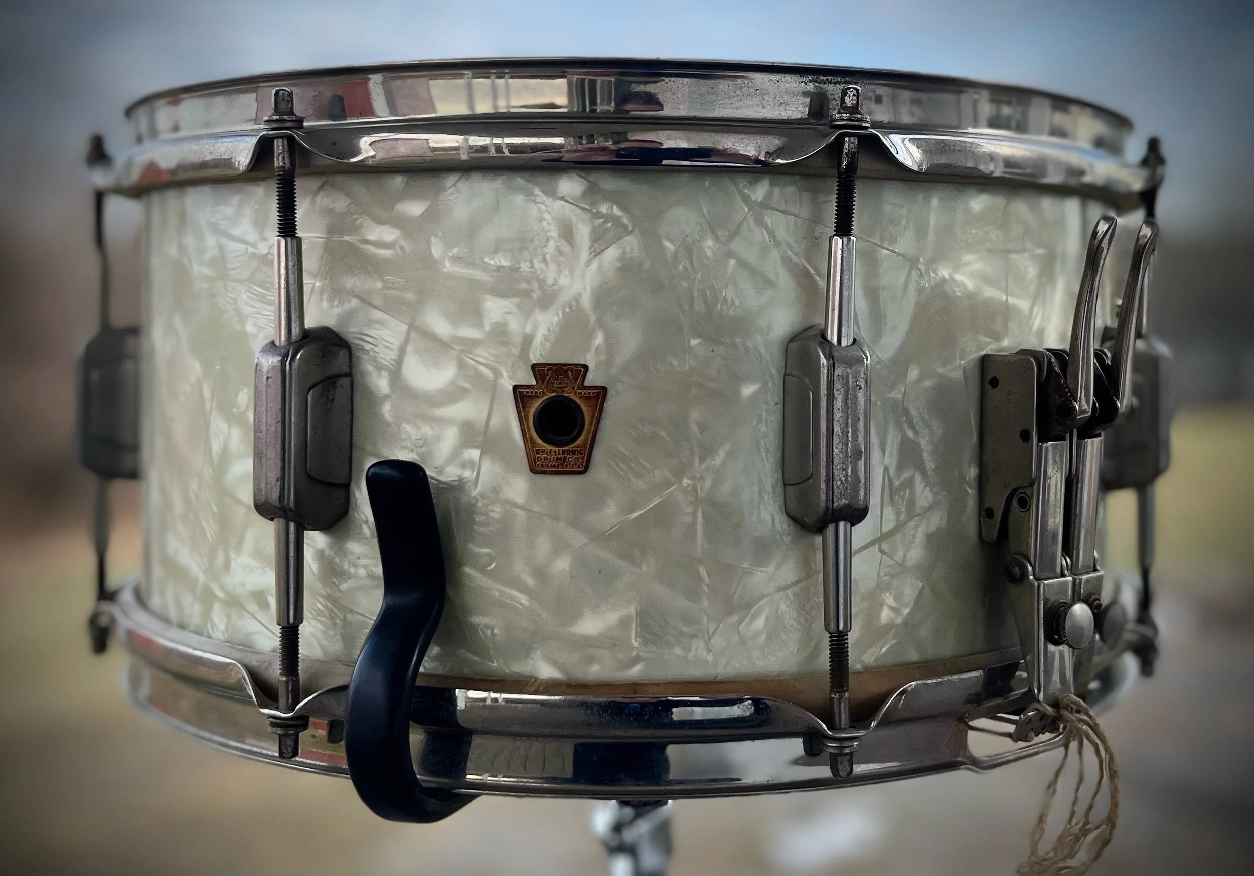 Stories From The Hunt