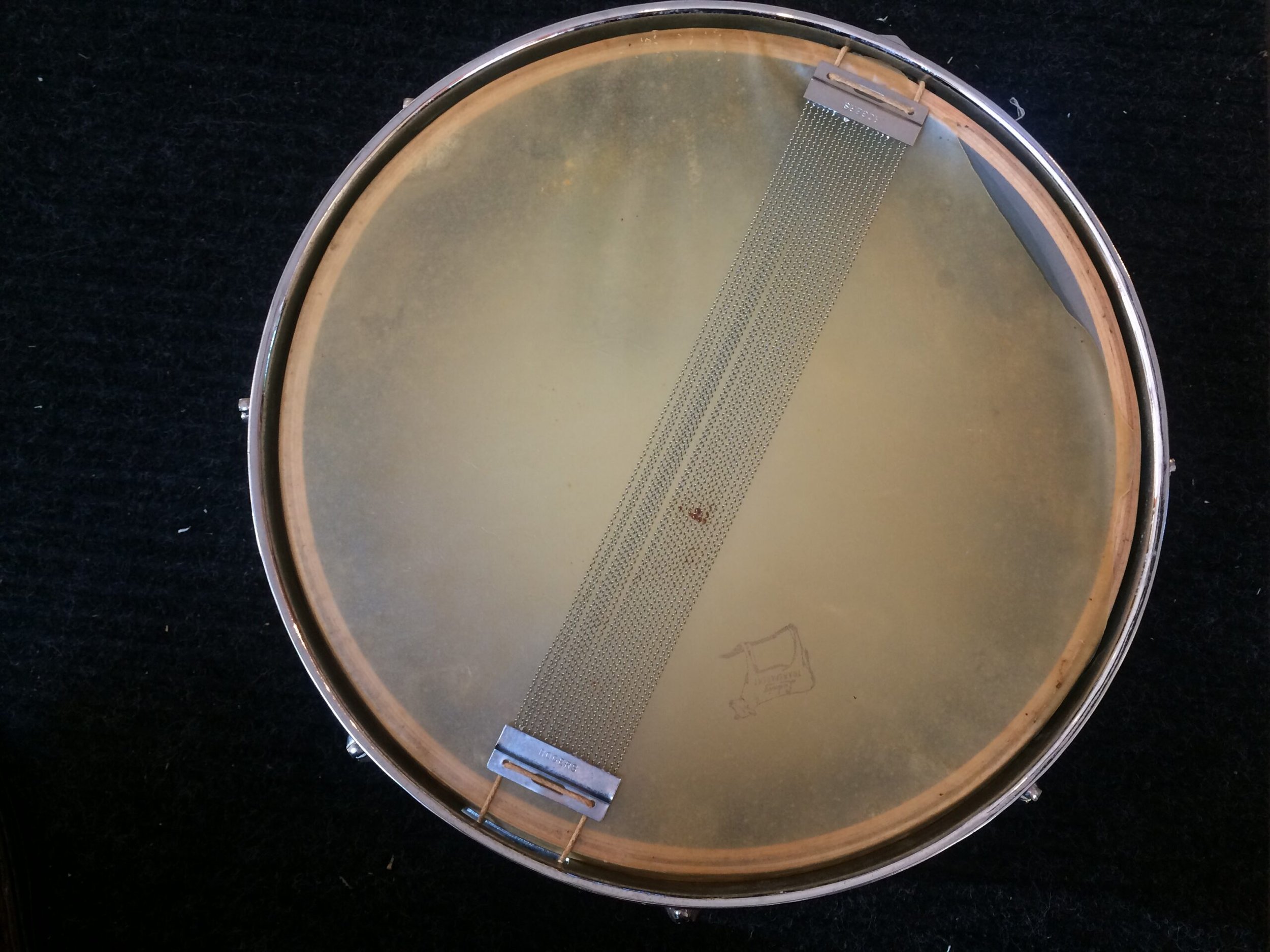 faris snare head.jpeg