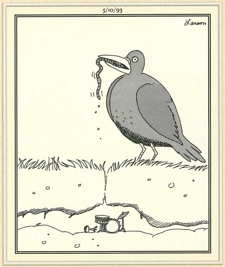Cartoons, pics  and other funnies