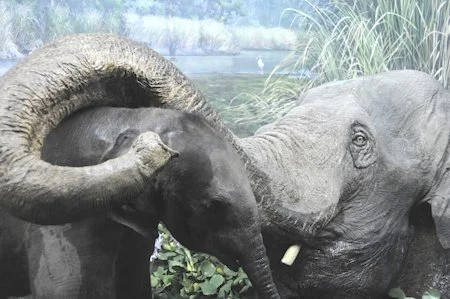 Fatherly Advice From A Well Seasoned Drummer