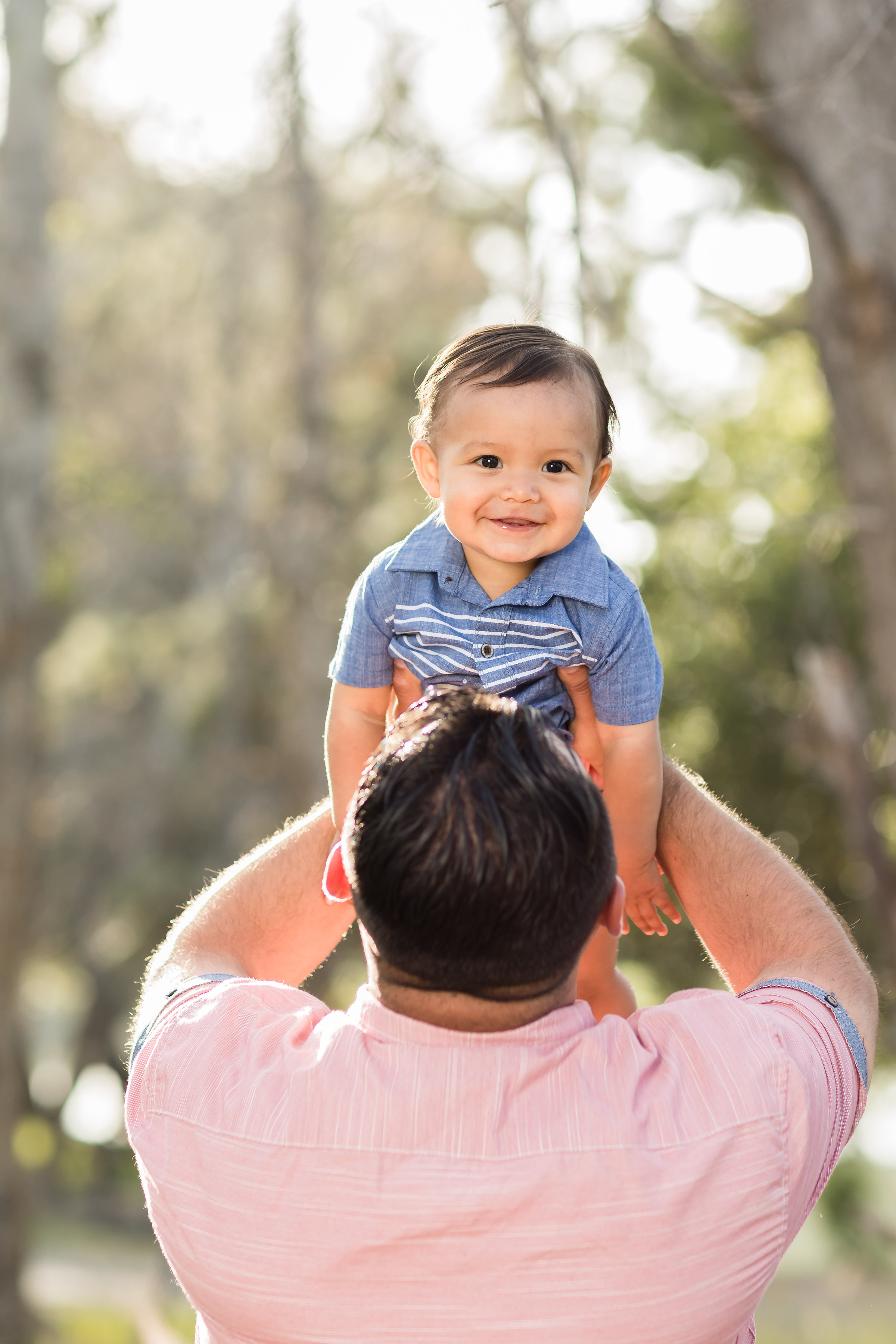 Daddy holding son in the air.jpg