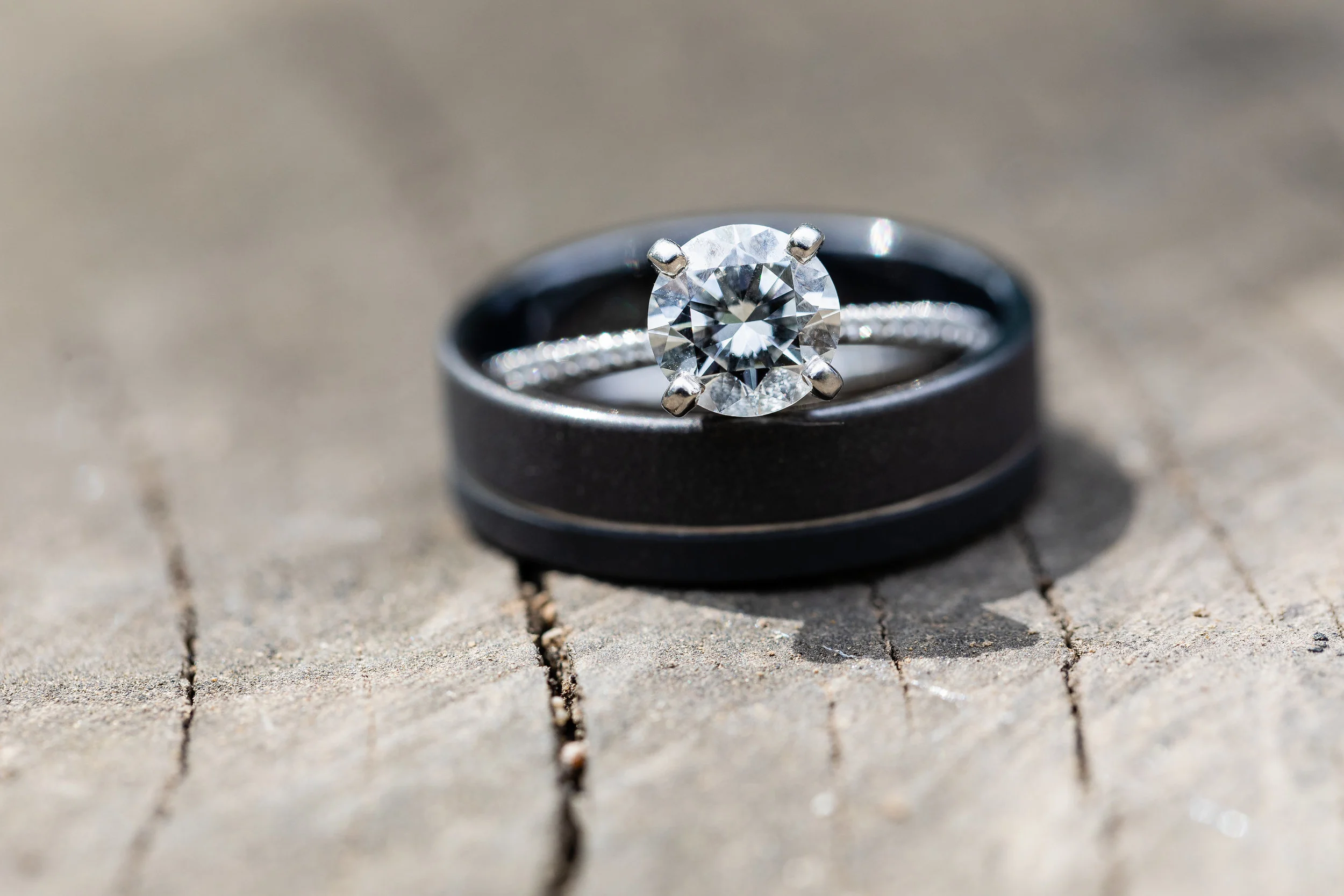 Ring shot on a tree stump.jpg