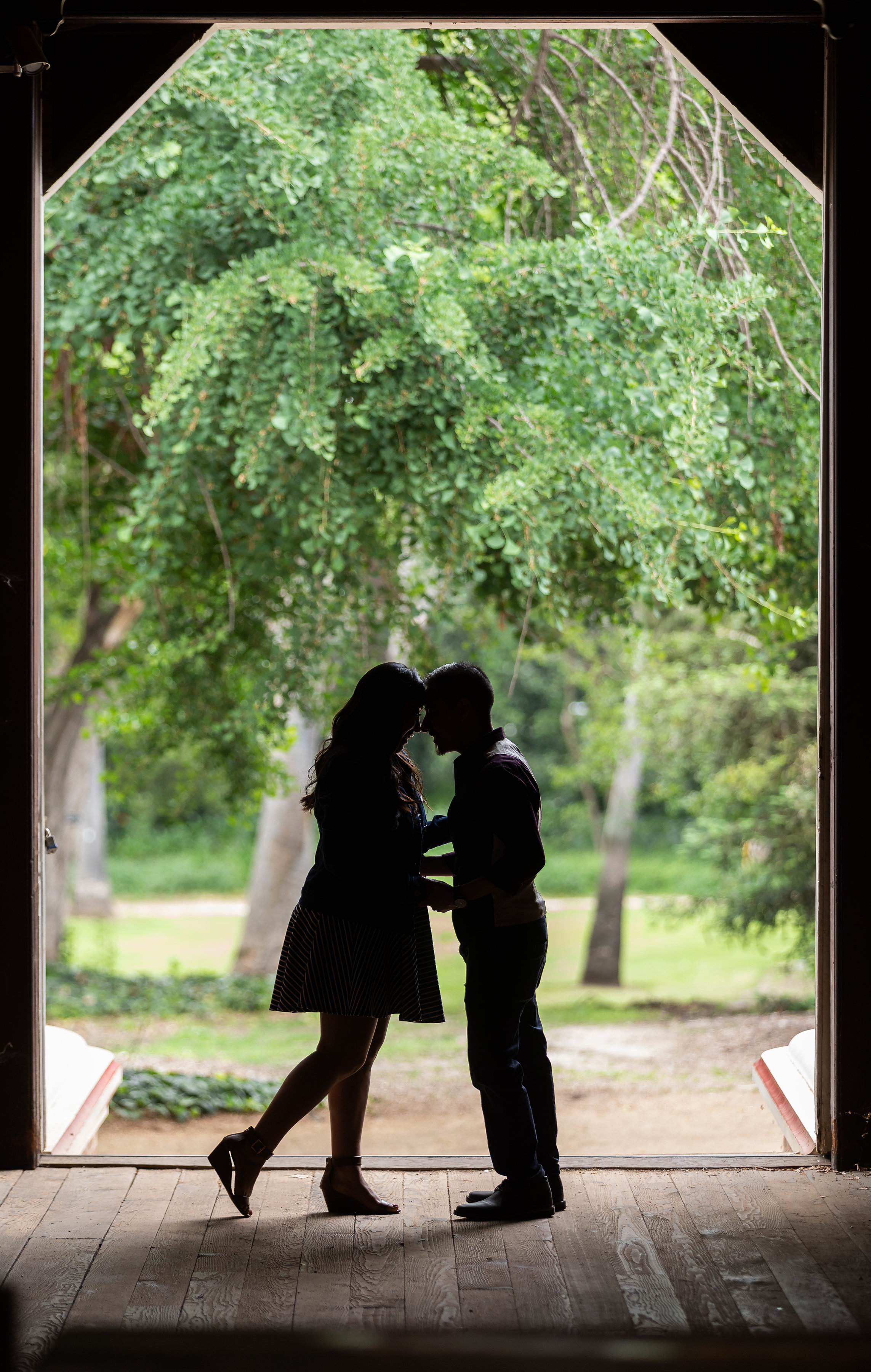 Silhouette of Engaged Couple.jpg