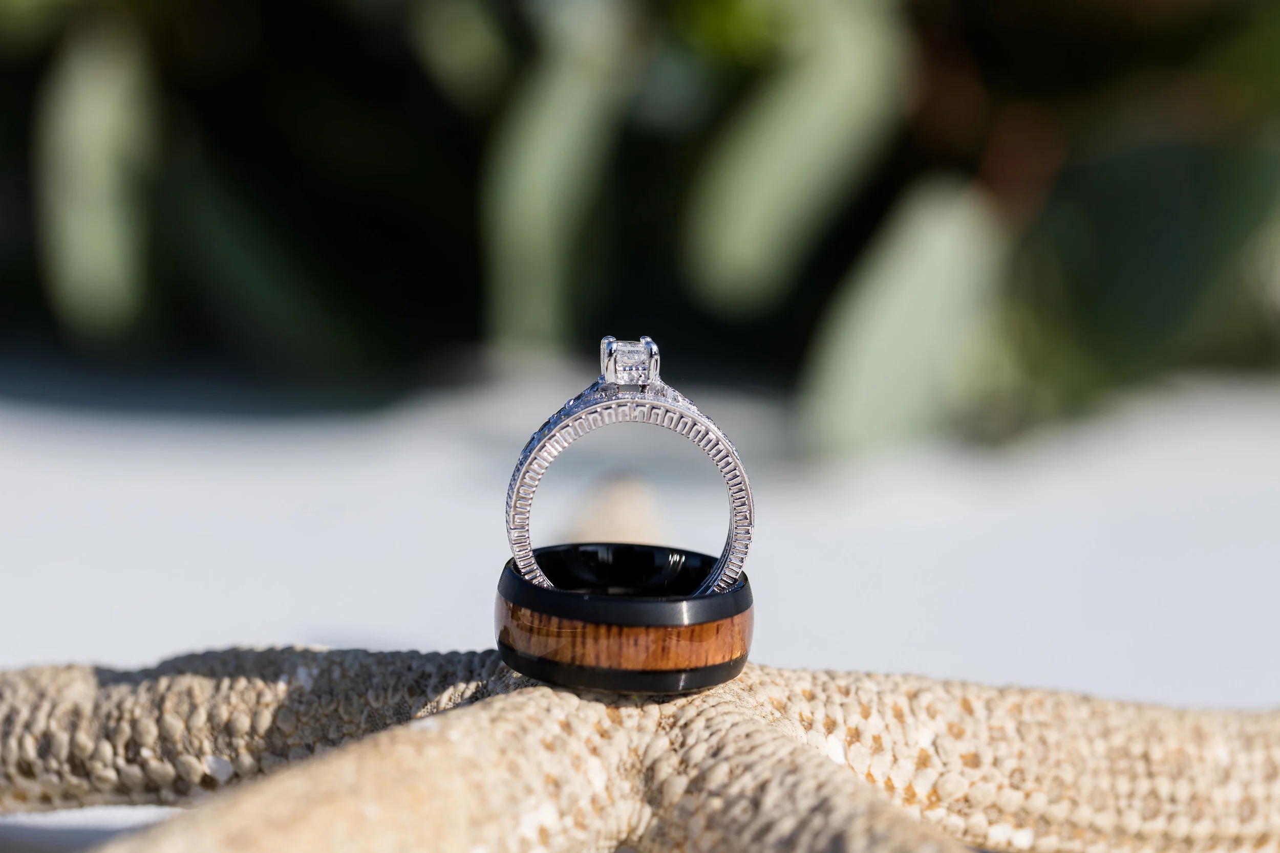 Ring Shot on a Starfish Long Beach Wedding Photographer.jpg