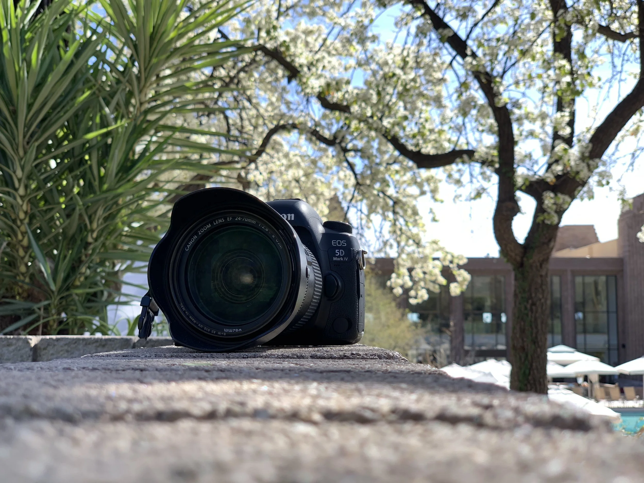 Photography Coordinator & Styling Internship.jpg