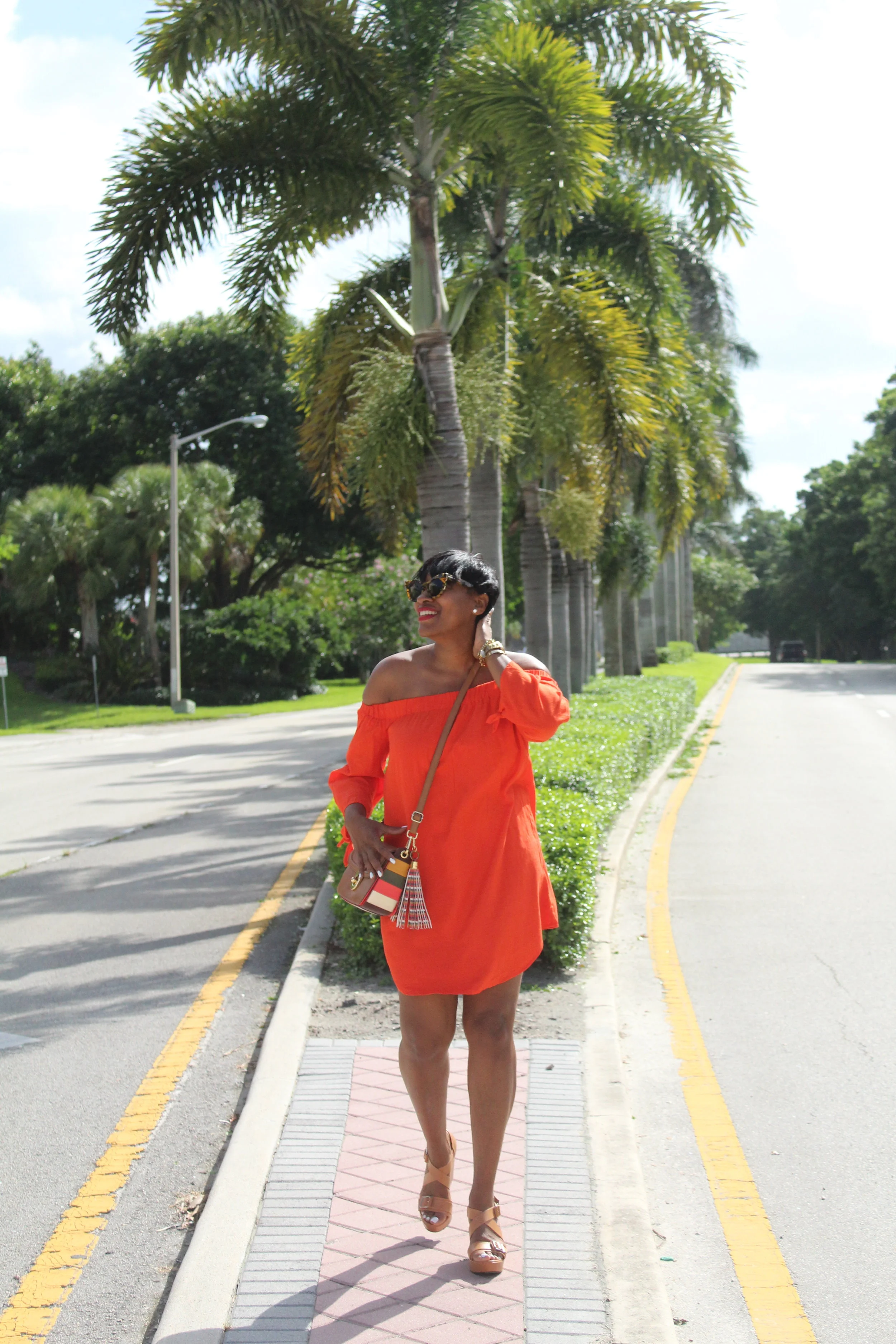 Palm Trees and Florida Days