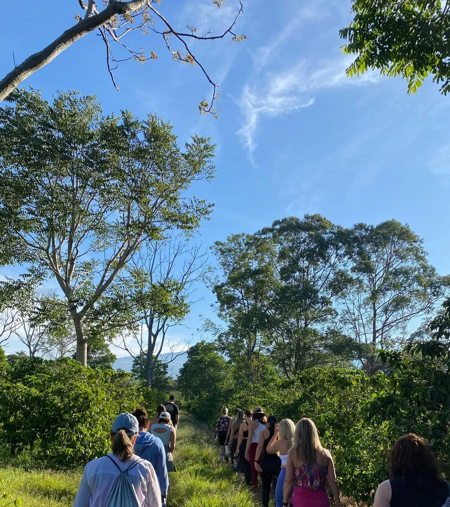 Hike through the coffee plantation, flowing, connecting, laughing, exploring waterfalls all is happening here soon.☀️March 7th-12th ☀️for a 5 night reset in Costa Rica #retreatyourself #yogavacation #ayretreat