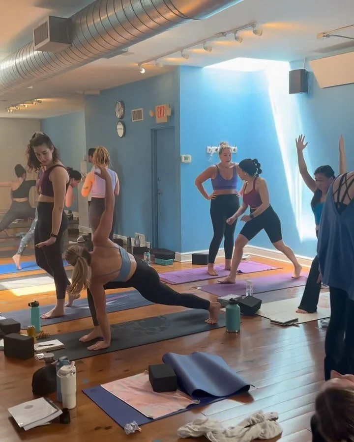 Ready to deepen your practice and step into something truly transformative?💥
Our next Yoga Teacher Training is coming this fall and it&rsquo;s so much more than just learning to teach... it&rsquo;s an experience of a lifetime.🤍
This journey is abou