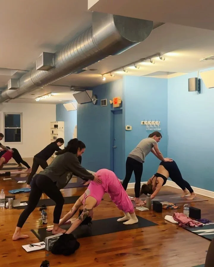 Come train with us and deepen your connection to yoga ✨

We&rsquo;re offering 3 opportunities to grow, learn, and be inspired:

🧘 On-Demand Teacher Training
Start anytime and move at your own pace from anywhere.

🍂 Fall 200 Hour Teacher Training
Be