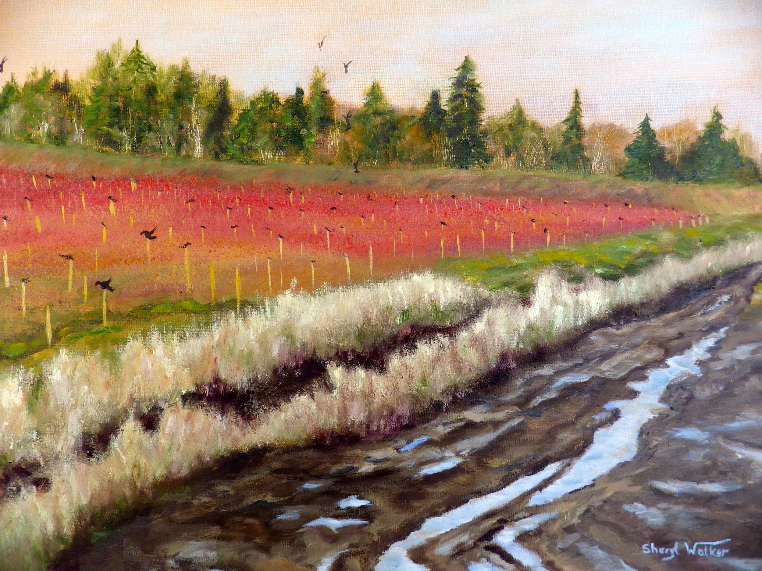 Blueberry Fields Forever