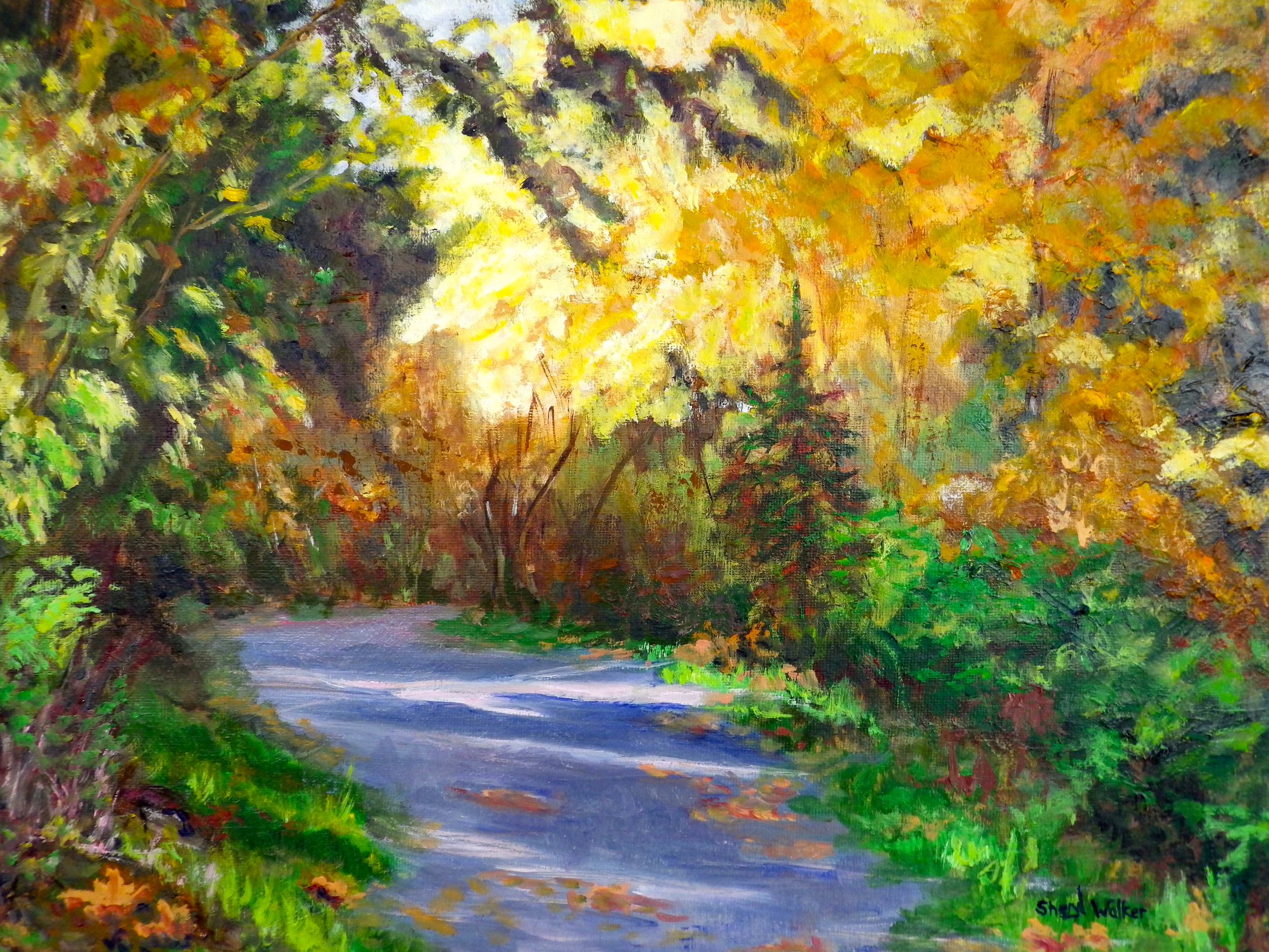 Autumn Trail