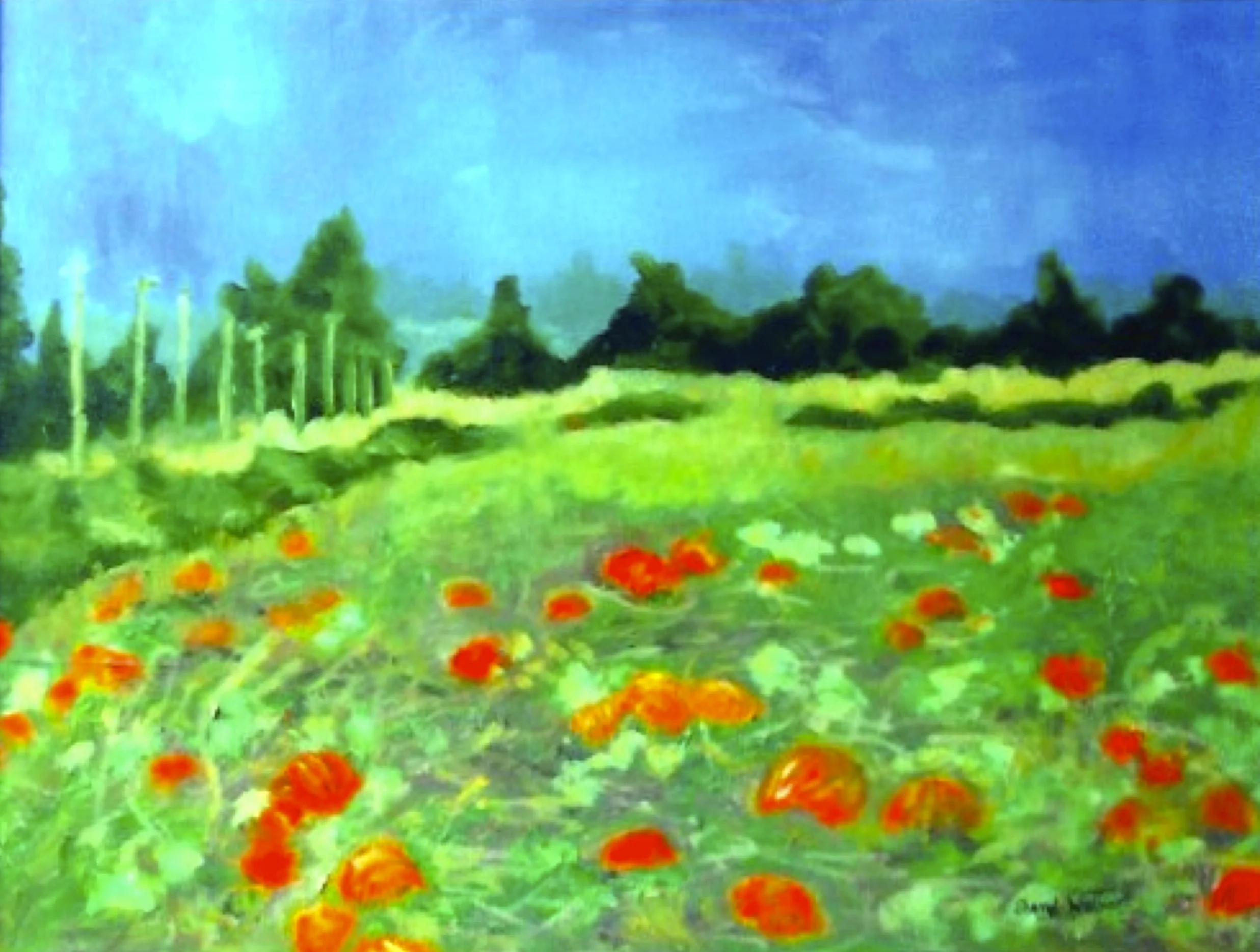 Pumpkin Fields - SOLD