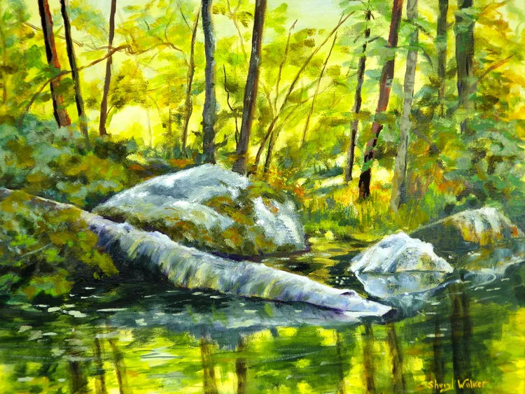 Federation of Canadian Artists "365" Display