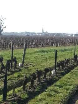 Quelques jours dans Le Jardin (de la France)