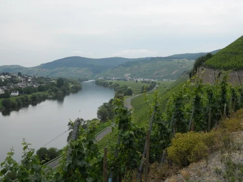 Auslese photo.jpg