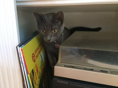 The Art of Discovery