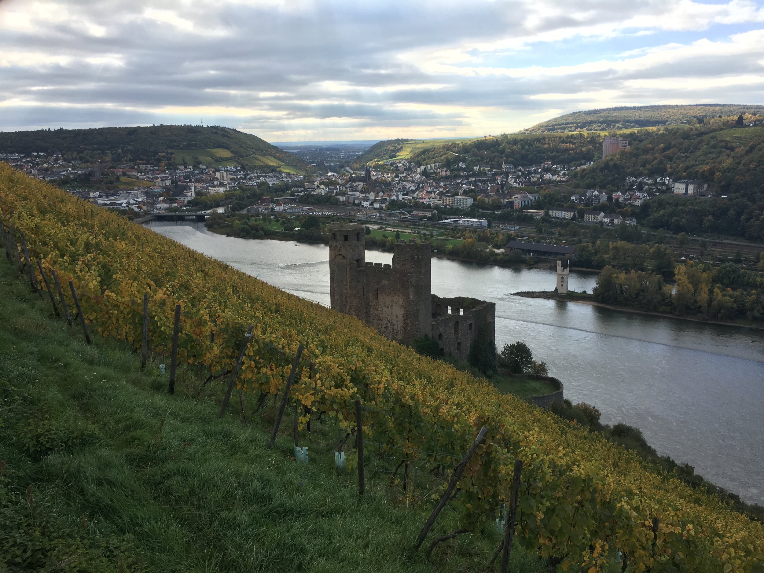 Rüdesheim Awakens