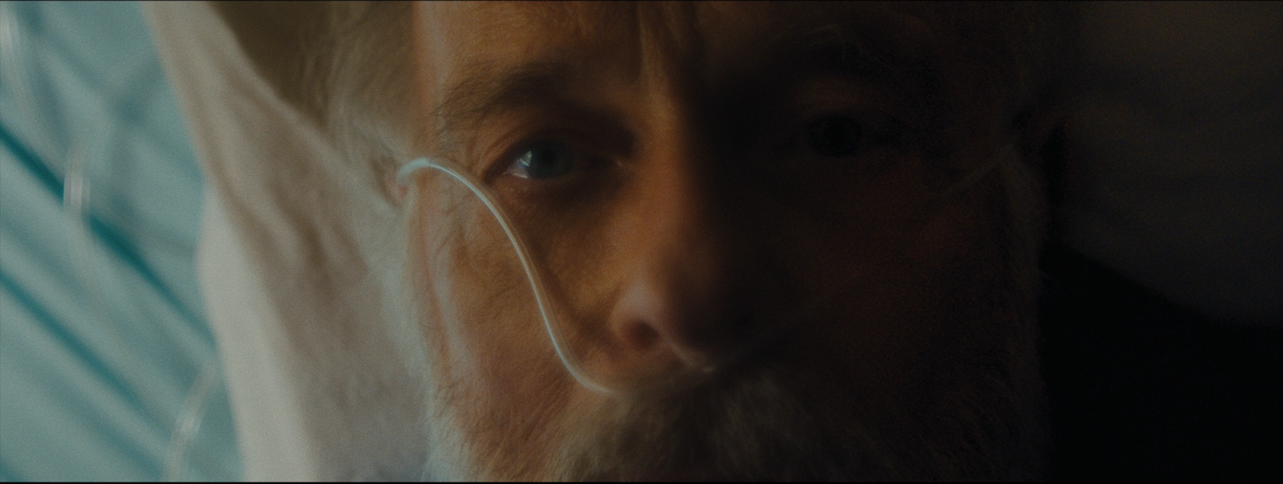 Screen Shot 2019-01-02 at 12.22.30 PM.png