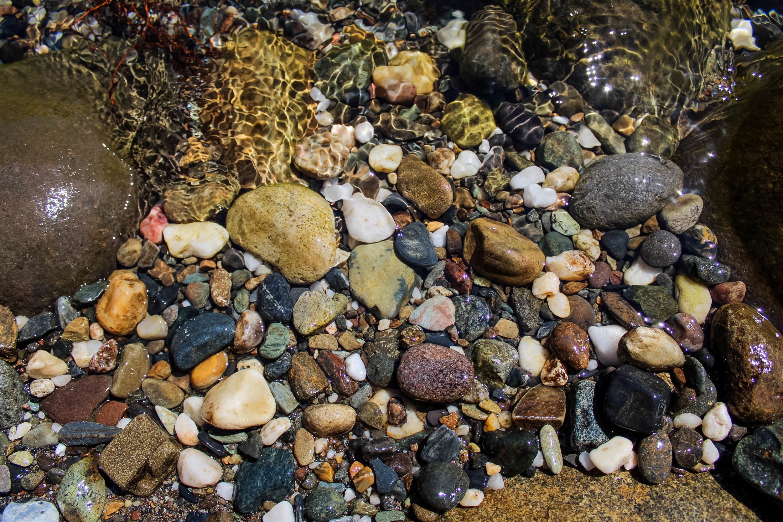  River rocks from the American River Confluence Trail in Auburn, CA. #visitauburnca 