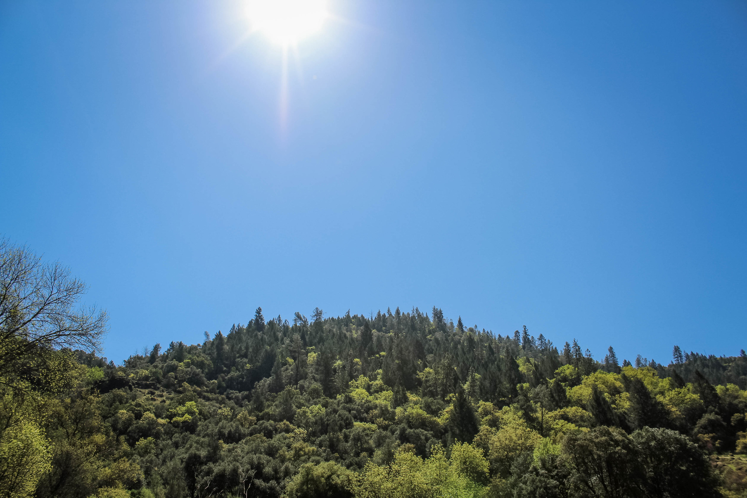  Landscape of the American River Confluence Trail in Auburn, CA. #visitauburnca 