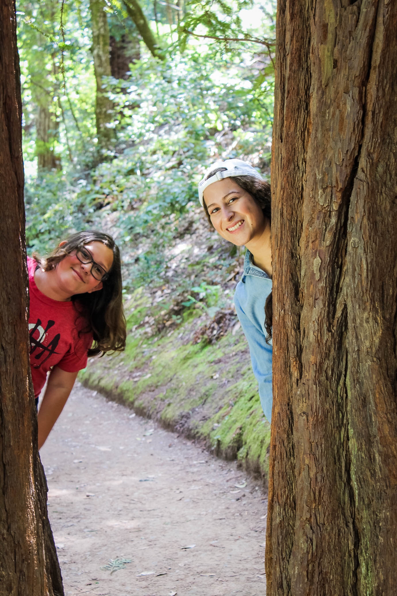 muir woods