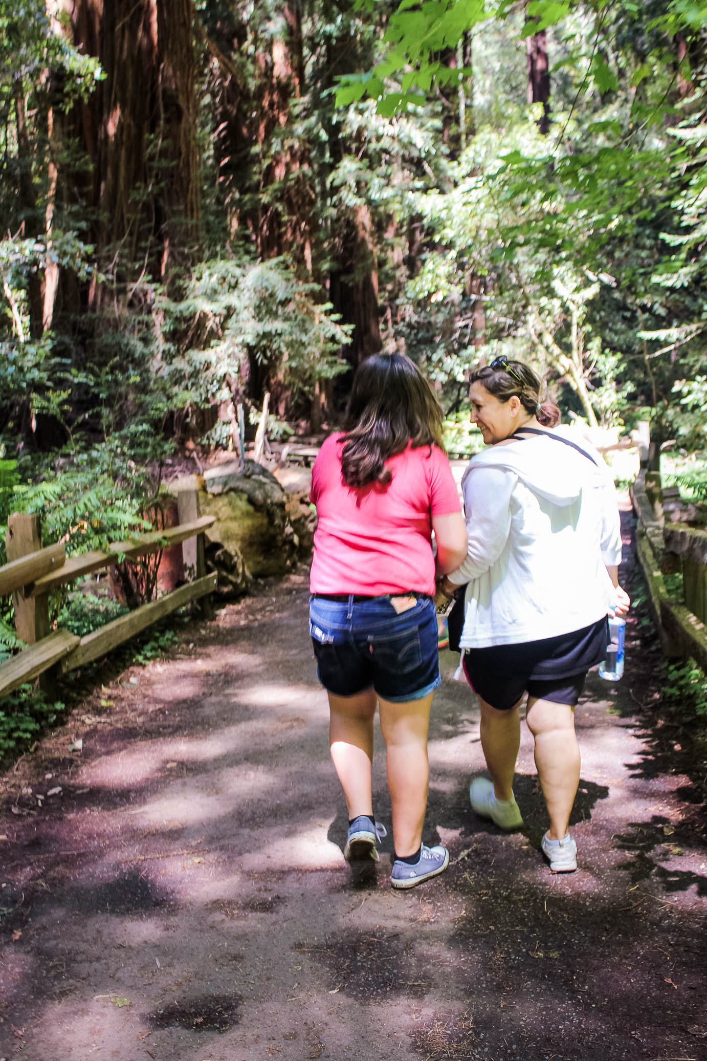 muir woods