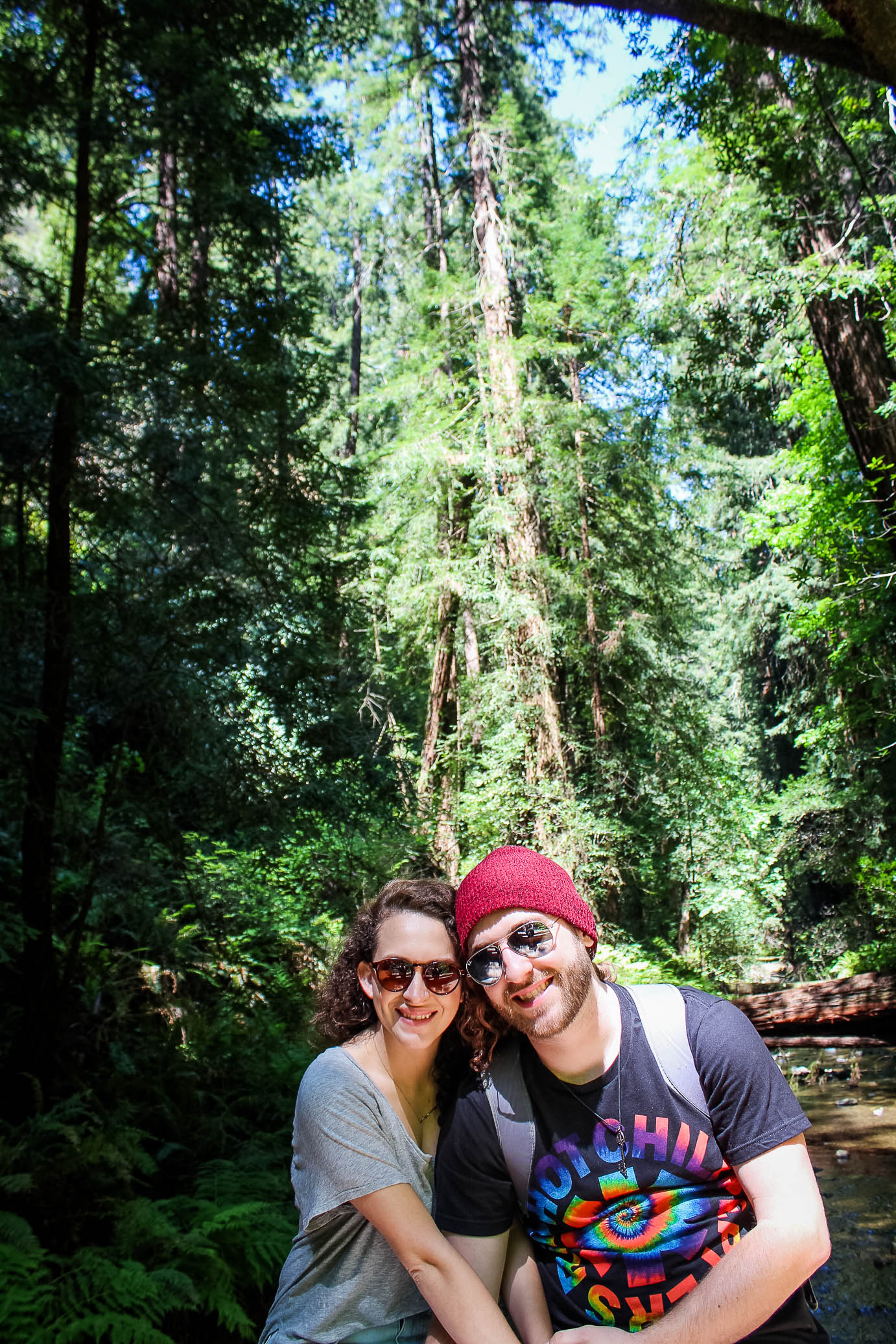 MuirWoods-29.jpg